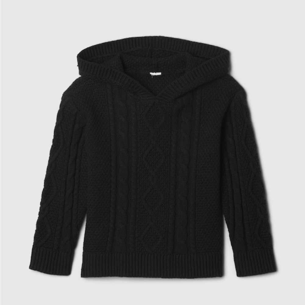 NWT Gap Kids Hooded Sweater 2 yrs